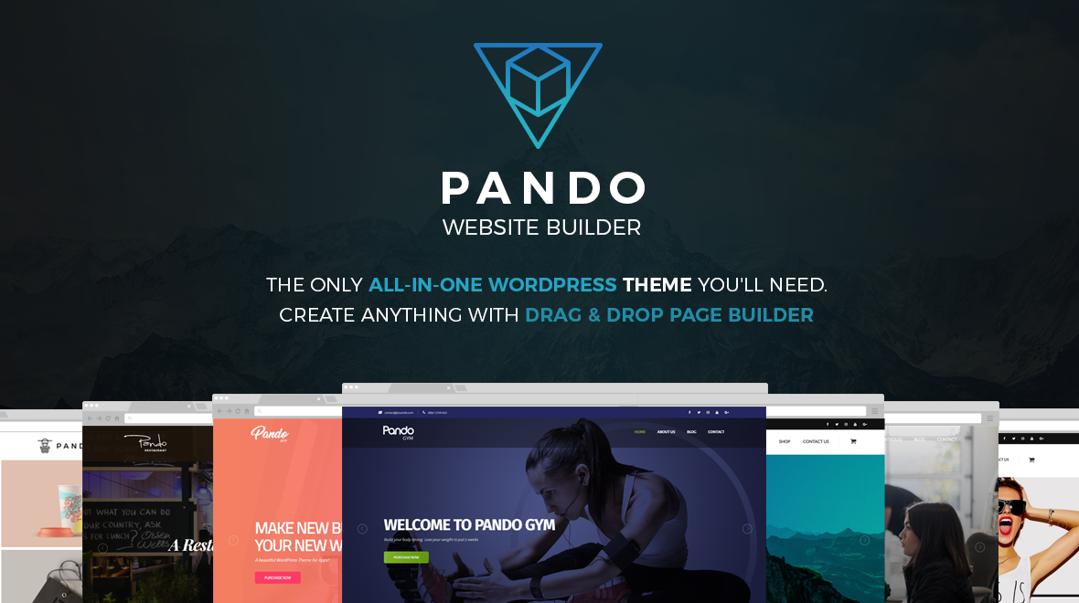 Pando Website Builder